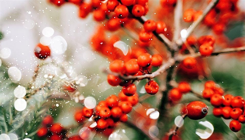 Newcastle Christmas Encounter, 17 December | Event in Newcastle upon Tyne | AllEvents