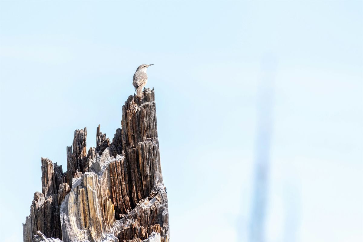 Wildlife Photography Workshop, 4 January | Event in Jemez Springs | AllEvents