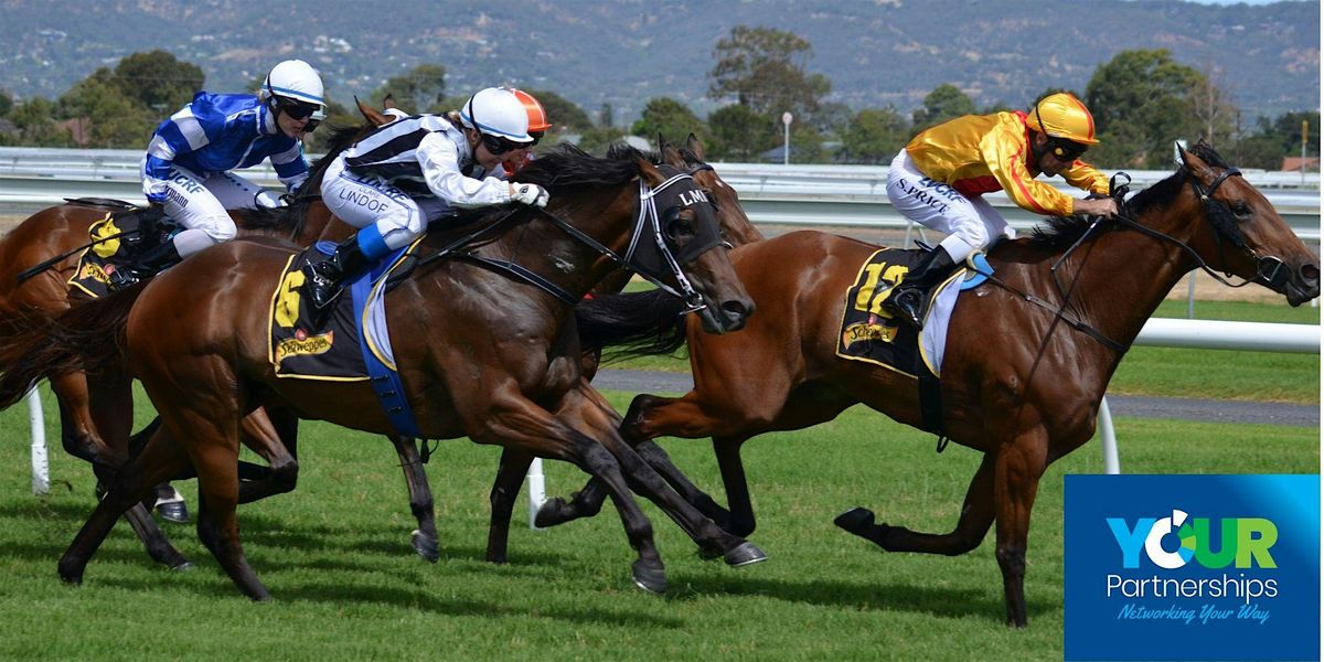 Free for all to attend Connector Event at Taunton Racecourse, 10 June | Event in Taunton | AllEvents