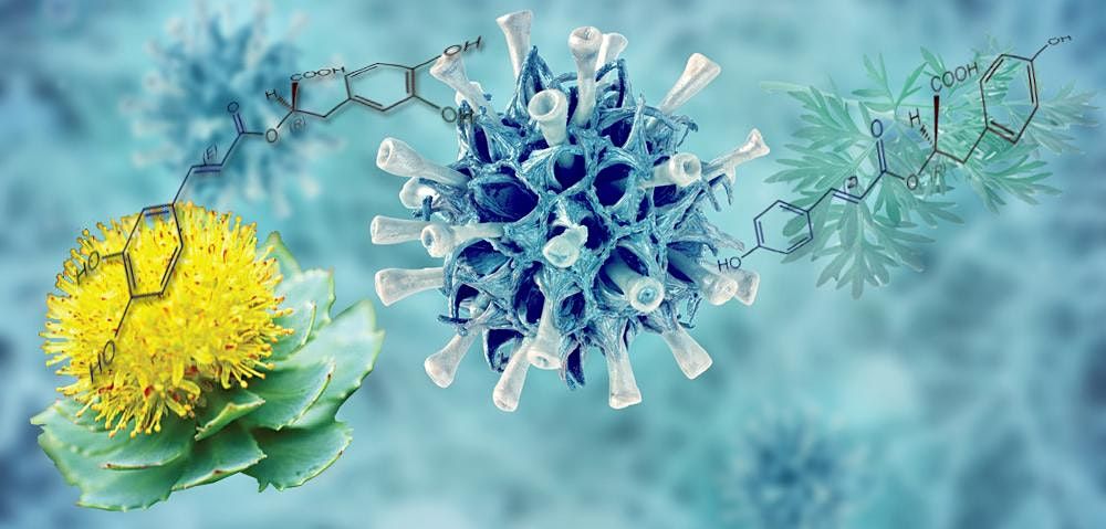 Denge Events List Of All Upcoming Denge Events In San Antonio San Antonio Events September 2022