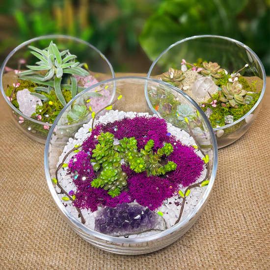Zen Crystal and Terrarium Workshop | Event in San Mateo | AllEvents