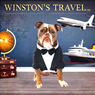 Winston's Travel     519-359-9437  TICO #4316071