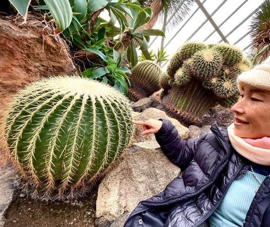 多次元植物 サボテンが語るスピリチュアルな世界 伊豆シャボテン公園 Matsuzaki May 17 22 Allevents In 多次元植物 サボテンが語るスピリチュアルな世界 伊豆シャボテン公園 Matsuzaki May 17 22 Allevents In