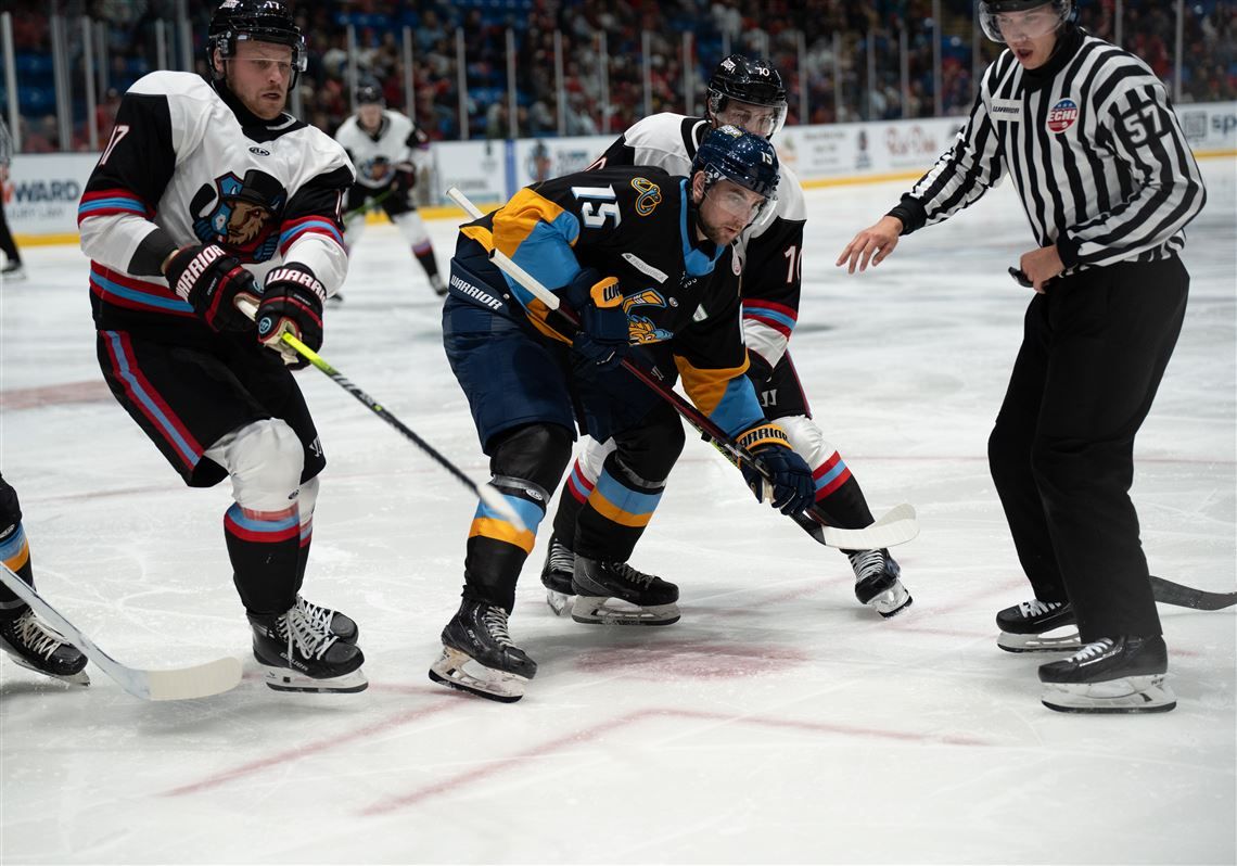 Toledo Walleye vs. Bloomington Bison, 2 December | Event in Toledo | AllEvents