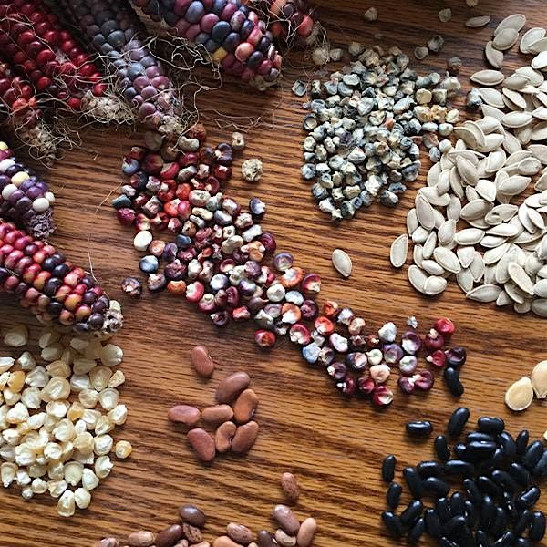 Seed Giveaway, 31 January | Event in DeKalb | AllEvents