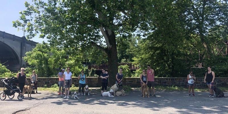 Backyard Manners Dog Training Pack Walk At Jacobsburg