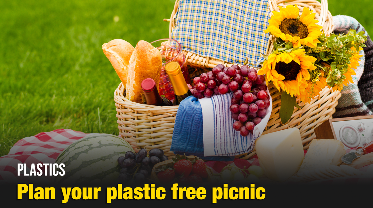 Plastic Picnic, 27 June | Event in New York | AllEvents