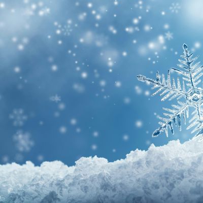 The Crystal Ball 2025 Host Committee logo