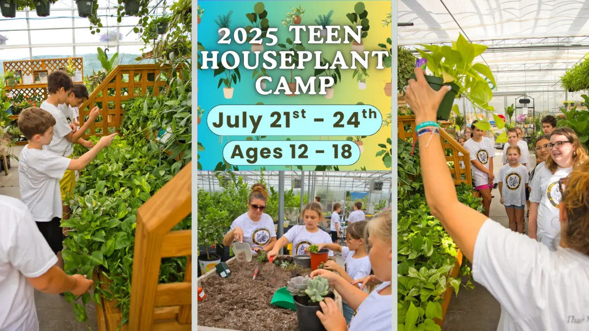 TWEN (18+), 25 March | Event in Madison | AllEvents