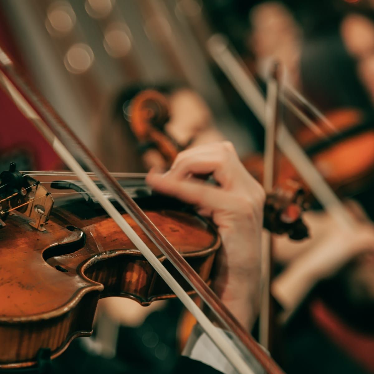 Philadelphia Young Artists Orchestra, 10 May | Event in Philadelphia | AllEvents