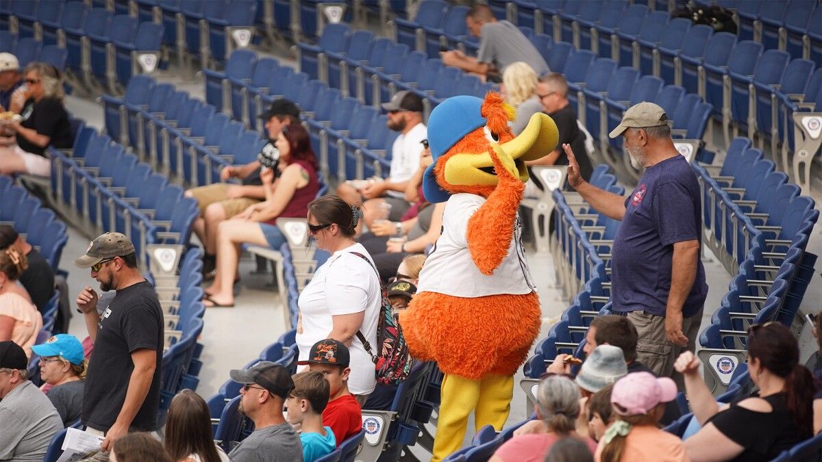 Akron RubberDucks at Binghamton Rumble Ponies at Mirabito Stadium, 17 July | Event in Binghamton | AllEvents