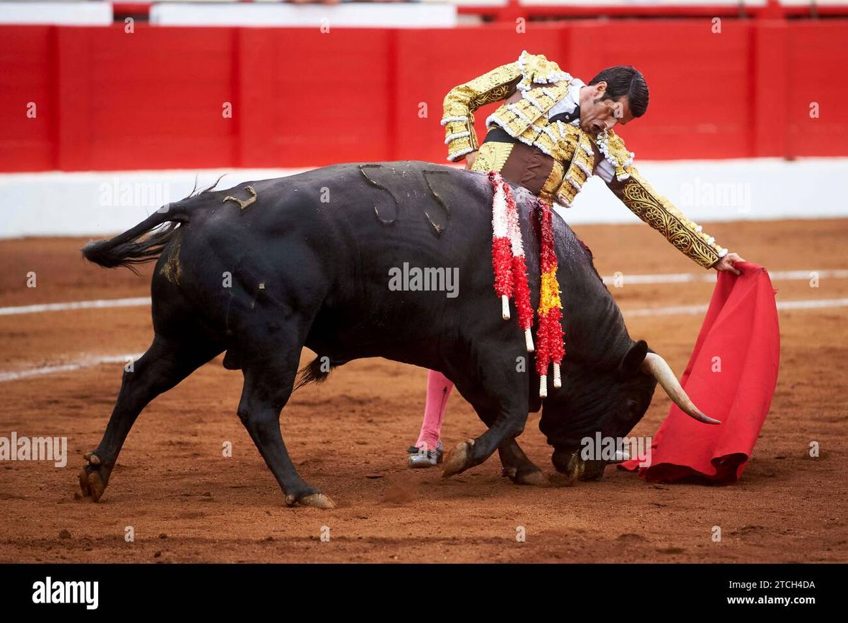bullfighting-seville-2024-cayetano-emilio-de-justo-gin-s-mar-n