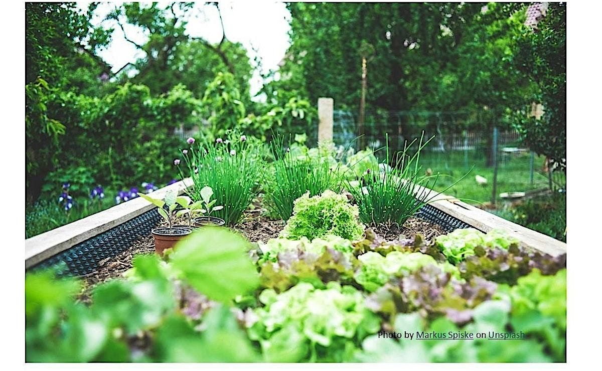 Frederick County Master Gardeners: So You Think You Want a Veggie Garden?, 28 February | Event in FREDERICK