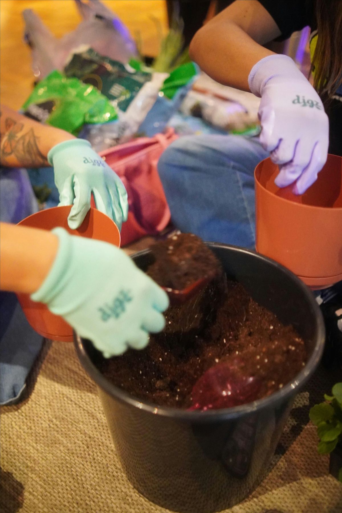 Sip & Soil Volume II, 13 December | Event in Memphis | AllEvents