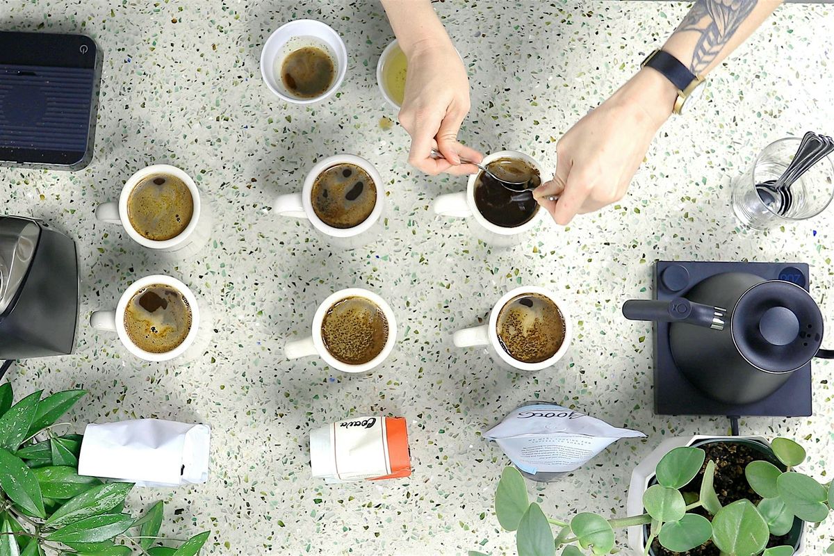 Taste the Origin: El Salvador Cupping Experience, 17 January | Event in Fredericksburg | AllEvents