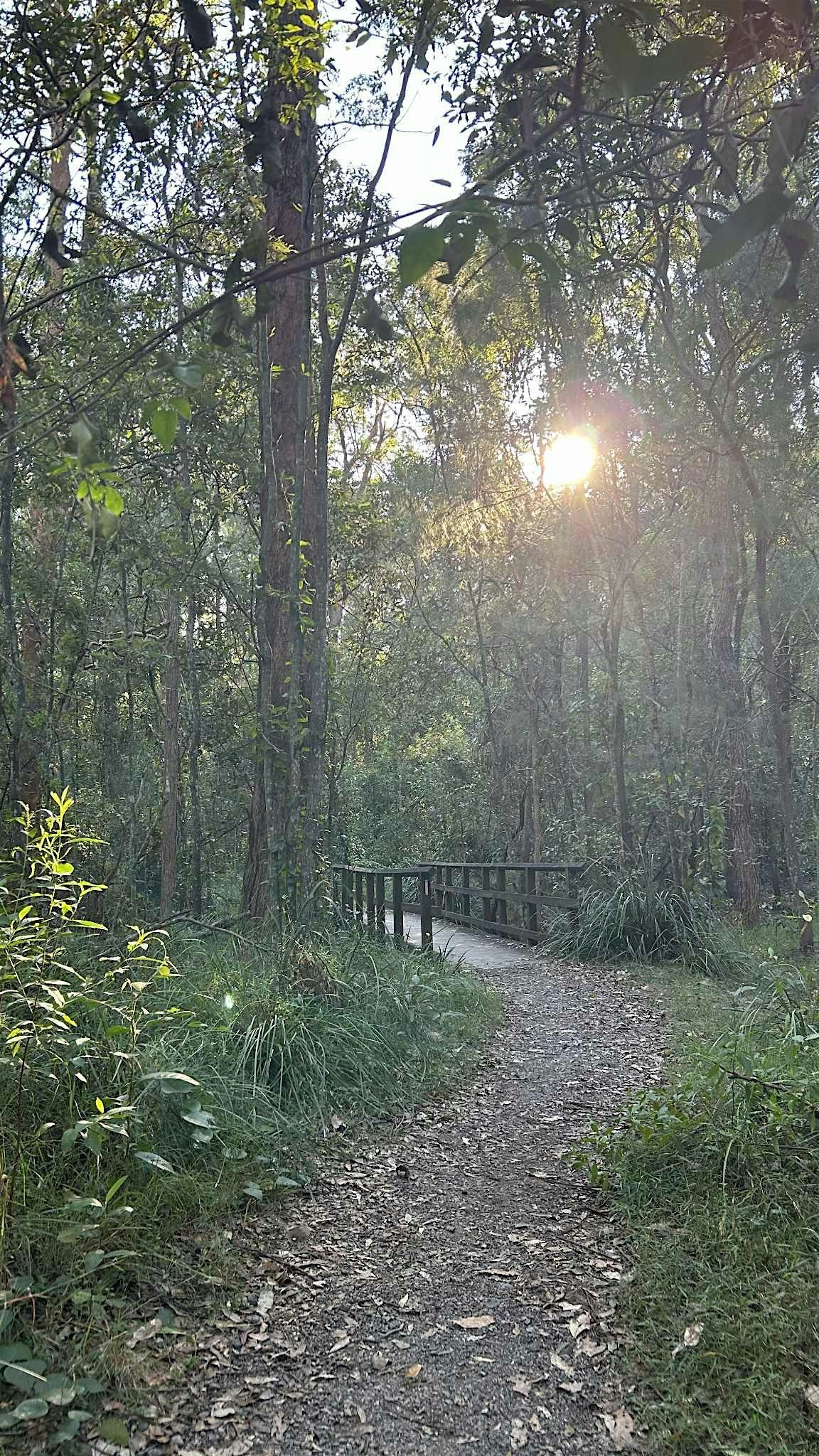 Forest Walk and Journaling, 30 November | Event in Tarragindi | AllEvents
