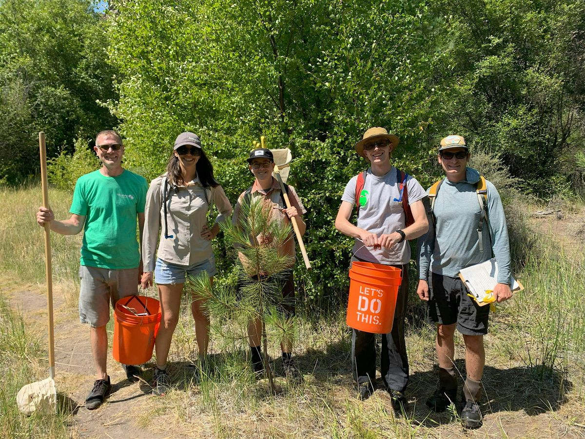 Stream Sampling on Whychus Creek (Thursday, August 7th), 7 August | Event in Sisters | AllEvents