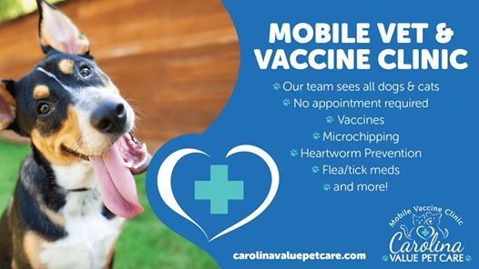 carolinavaluepetcare