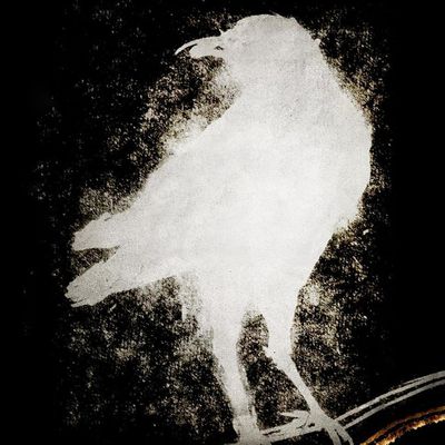 Raven Bar & Lounge logo