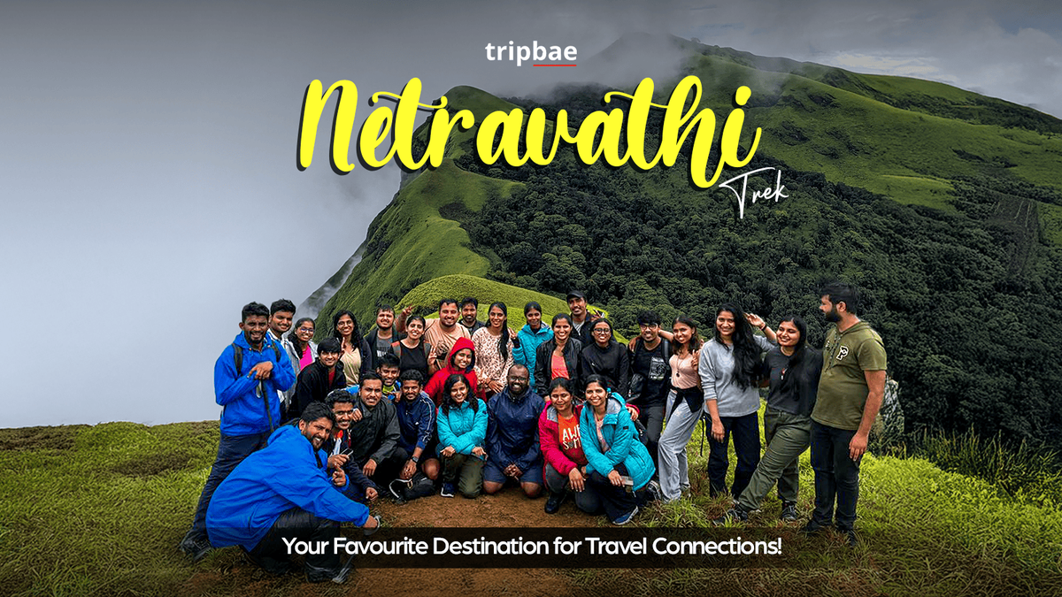 Netravathi Trek by Tripbae, 18 July | Event in Chikmagalur | AllEvents