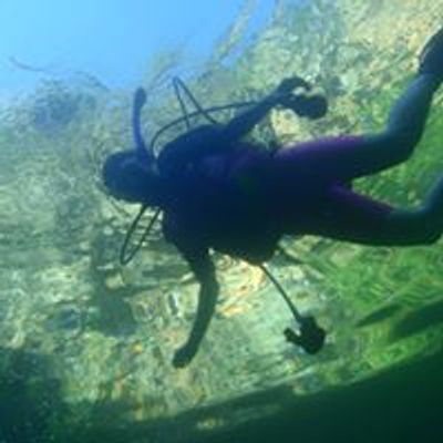Dive Land Park