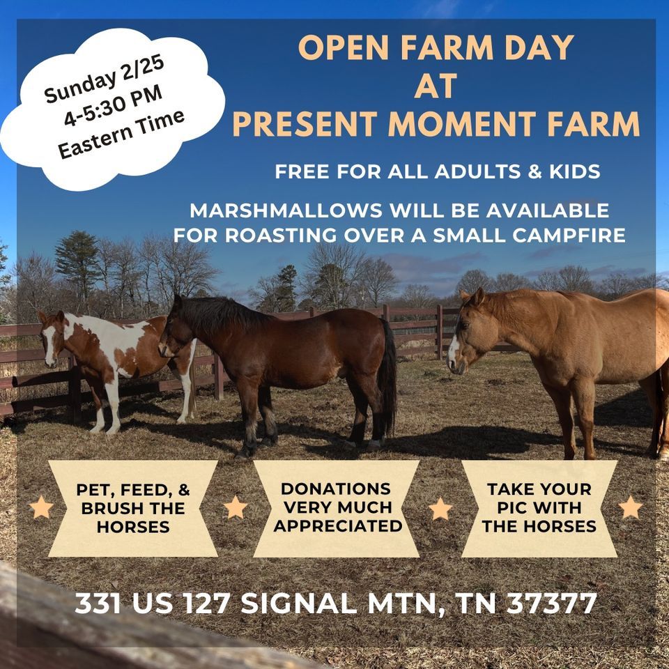 Open Farm Day, Present Moment Farm, Signal Mountain, 25 February 2024