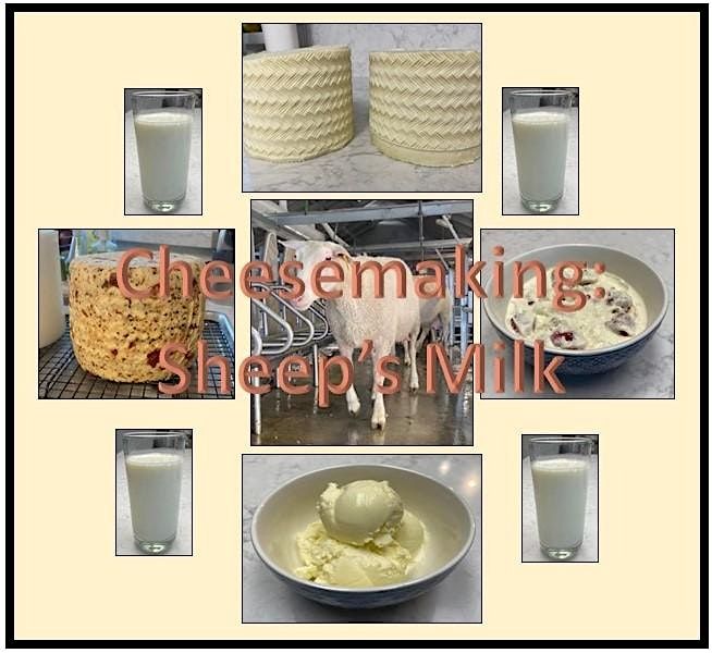 Cheesemaking - Sheep's Milk Cheeses/Manchego, 31 May | Event in Sacramento | AllEvents