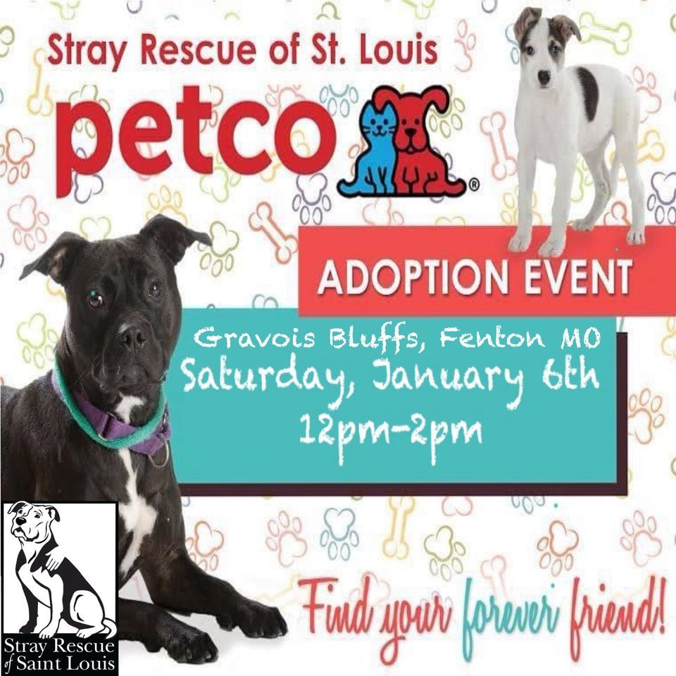 Dog Adoption Event, Petco (Fenton), January 6 2025 AllEvents.in