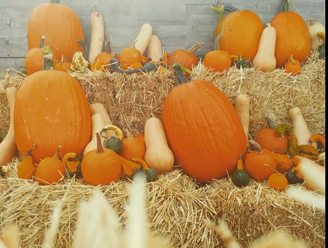 Halloween 2021 In Washington Halloween 2021 Events Parties In Washington Allevents In Halloween Events In Atlantic City 2022