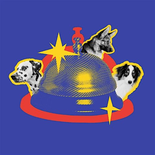 Pavlov, 13 December | Event in Chicago | AllEvents