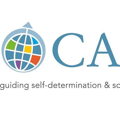 CAPI USA logo