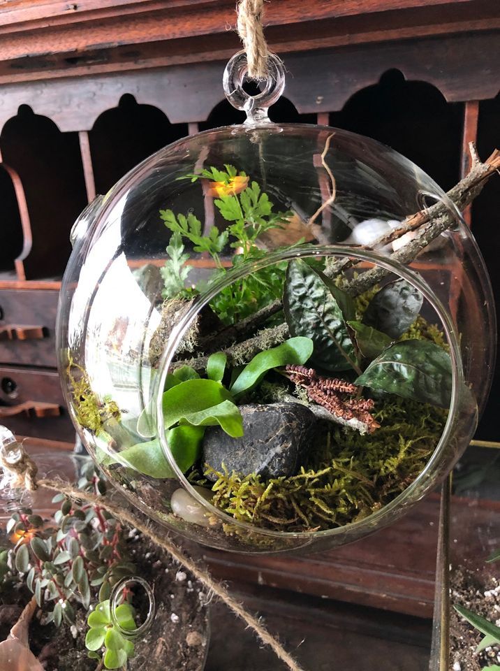 Terrarium Class, Township Four, Stockbridge, April 20 2024 AllEvents.in