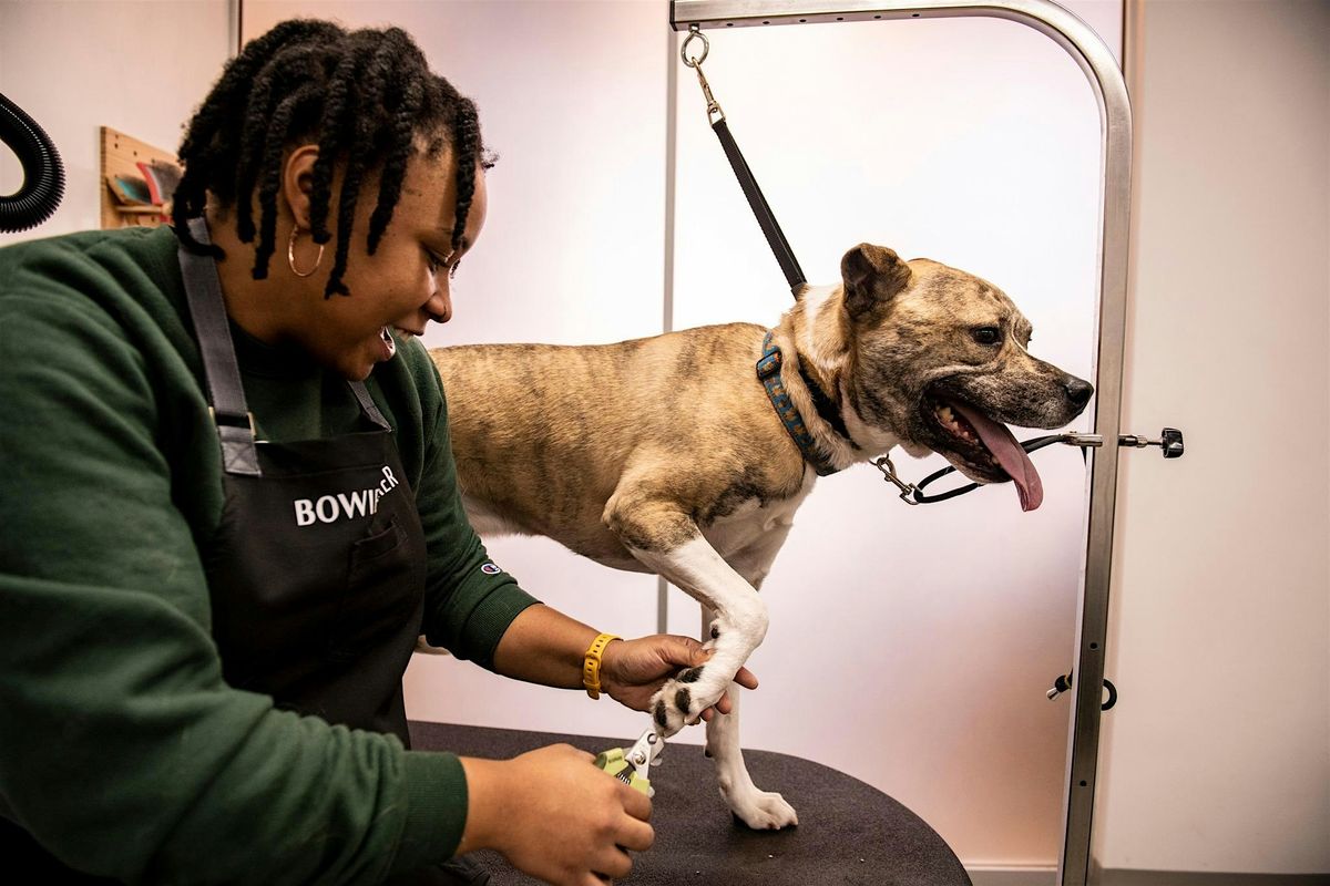 Pup Painting Party at Bowie Barker Livermore, 13 December | Event in Livermore | AllEvents