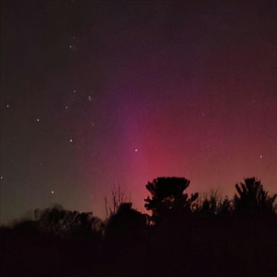 Charity Doornbos logo