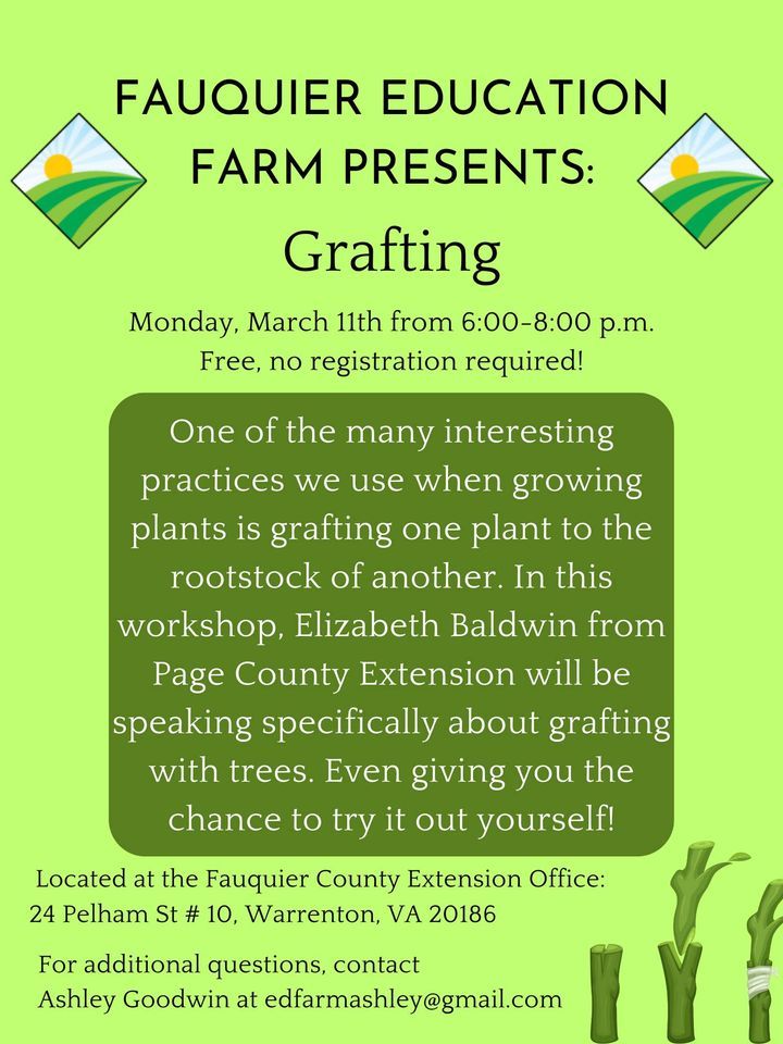 Grafting Fauquier Extension Office, Warrenton, March 11 2024