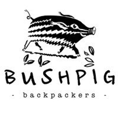 Bushpig Backpackers Kampala