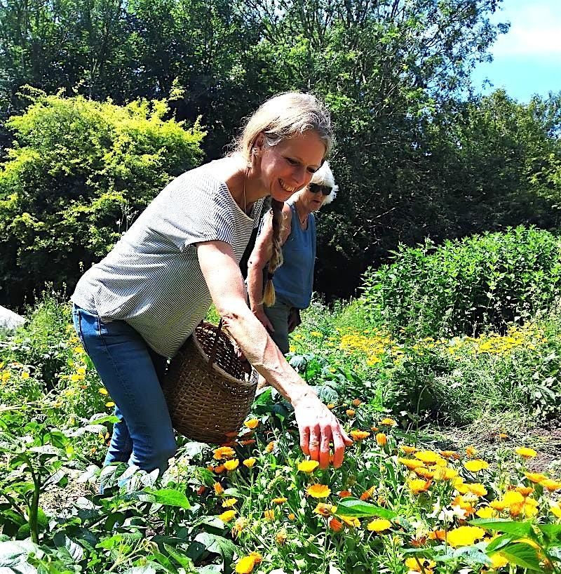 Wild Herbal Medicine Workshop Brighton with Jessie Martelhof, 10 May | Event in Brighton and Hove | AllEvents