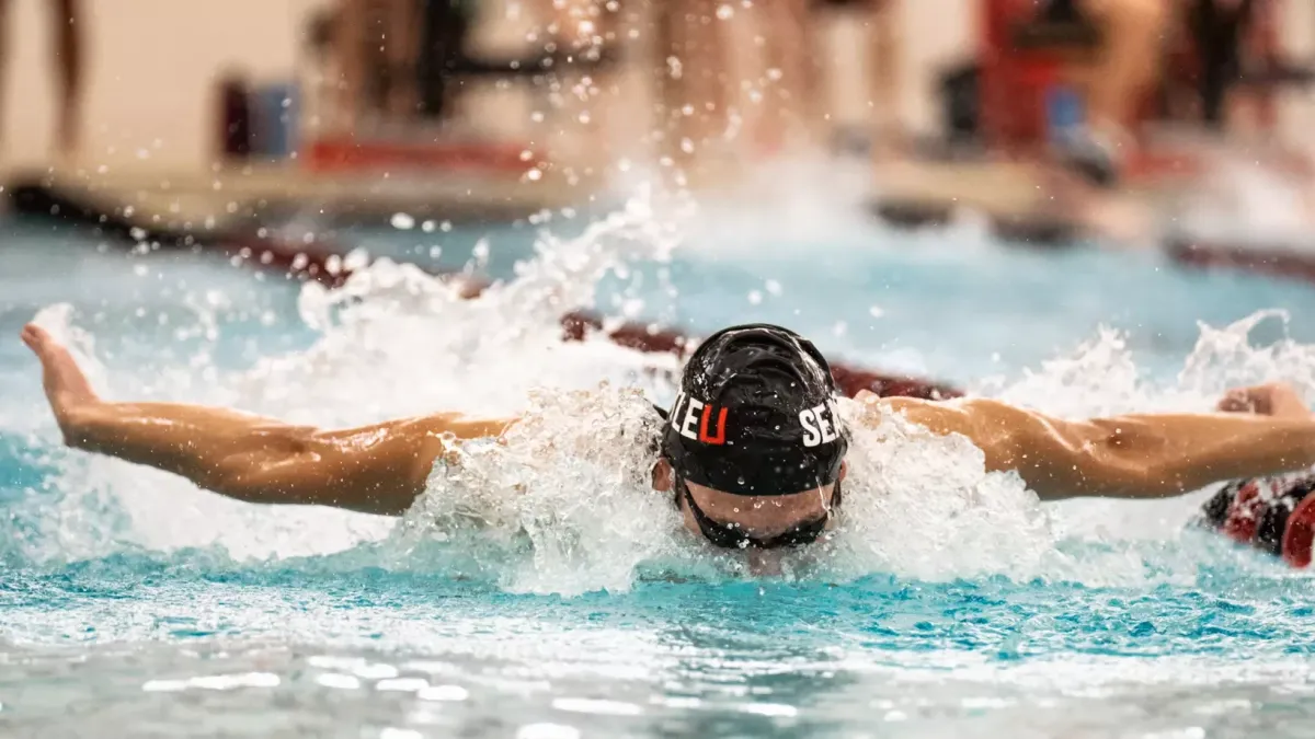 Parking Puget Sound Loggers at Seattle U Redhawks Mens Basketball, 3 December | Event in Seattle | AllEvents