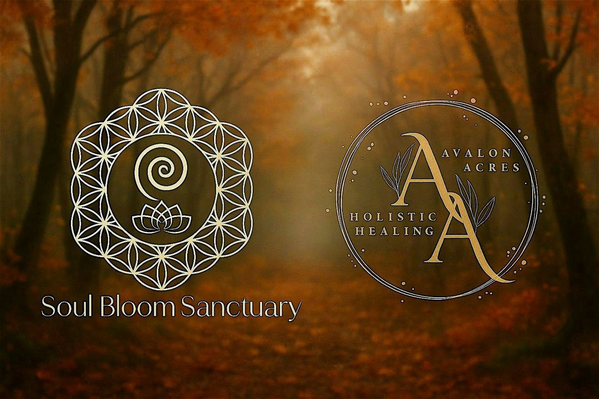 An Evening of Sound & Stillness, 21 November | Event in Lakeside | AllEvents