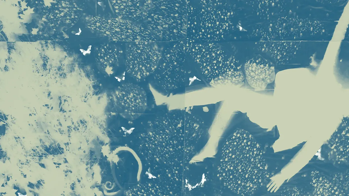 Iron &amp; Wine in Melbourne, 10 March | Event in Northcote | AllEvents