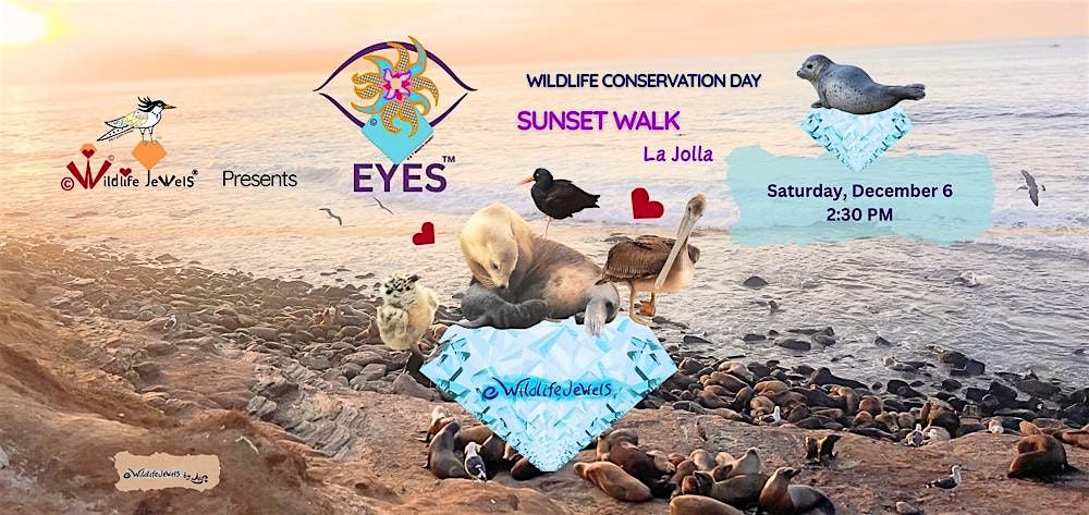 EYES Wildlife Walk at La Jolla Cove — Wildlife Conservation Day, 6 December | Event in San Diego | AllEvents