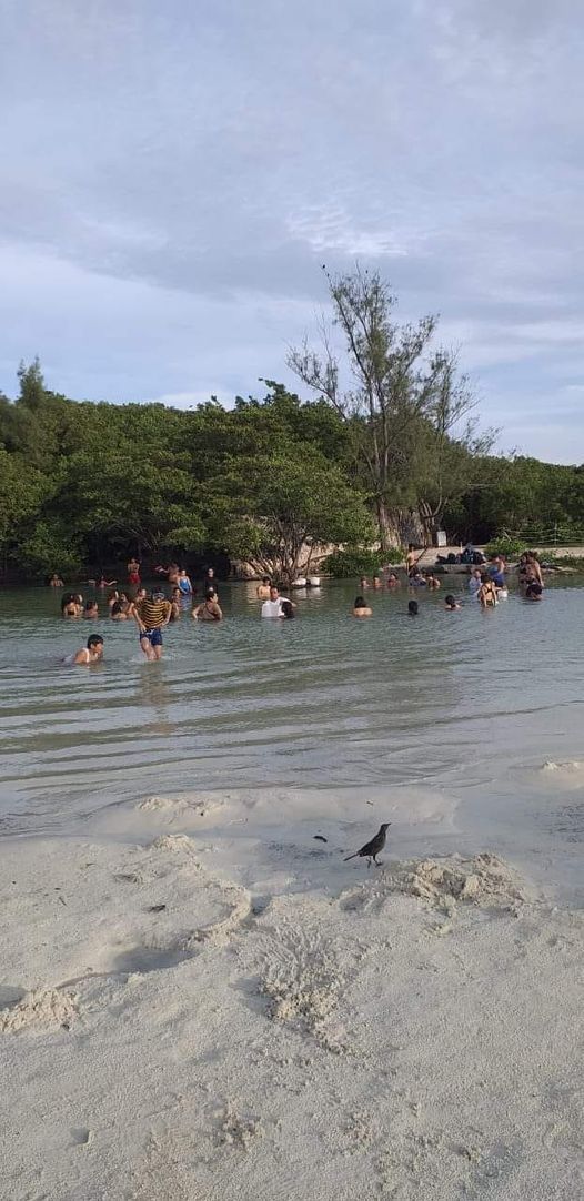 Sanacion Aquantica Cenote Punta Esmeralda Playa Del Carmen 9 October