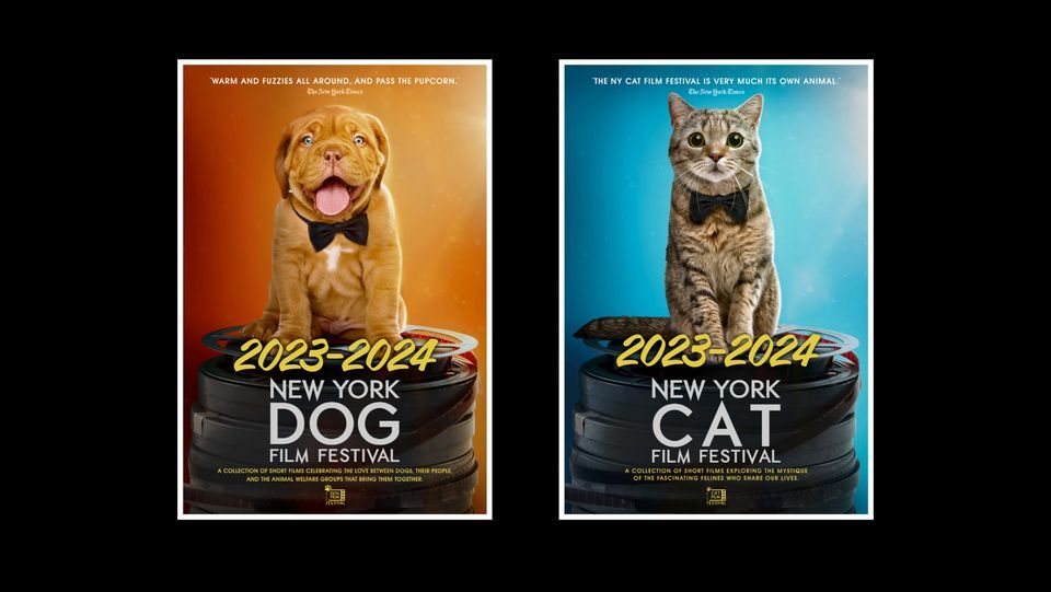 8th Annual NY Dog Film Festival, 181 2nd Ave, New York, NY 100035752