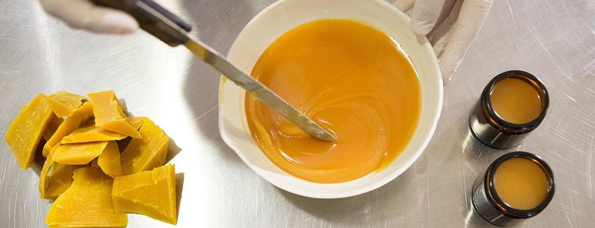 7th February 2022 Events In San Antonio San Antonio February 2022 Events