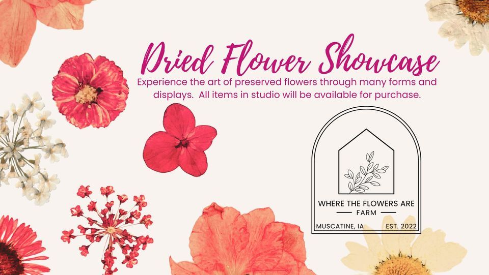 Dried Flower Showcase at the Flower Farm, Where the Flowers Are Farm
