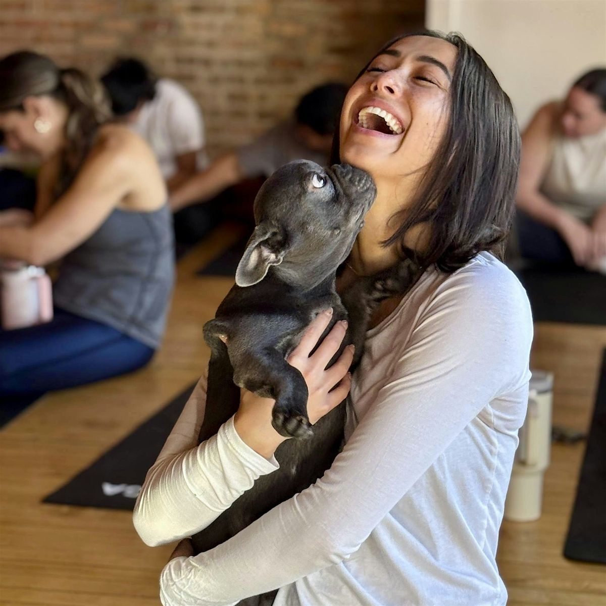 Puppy Yoga USA  - Chicago, 14 December | Event in Chicago | AllEvents