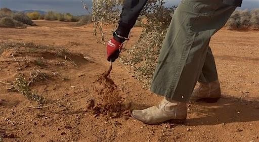 Community Action: W**d Pulling