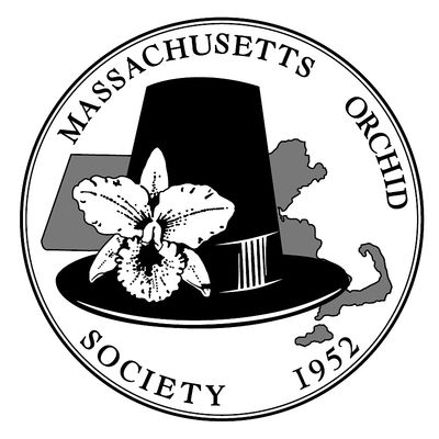Massachusetts Orchid Society logo