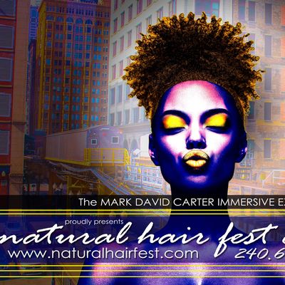 Natural Hair Fest Chicago Spring 2020 At Doubletree By Hilton