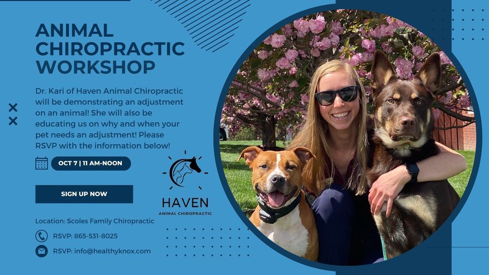 Haven Animal Chiropractic Scoles Family Chiropractic